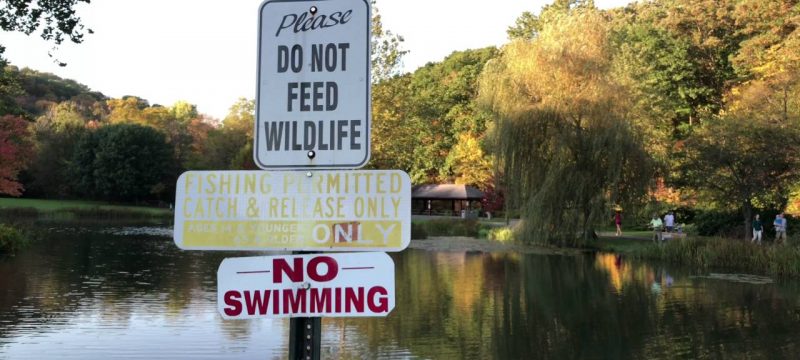 Another iPhone 7 Plus video 4K