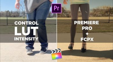 How To Adjust LUT INTENSITY | Davinci Resolve + LumaFusion