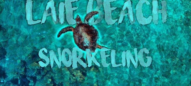 How To WIGGLE TEXT like Sam Kolder in Lumafusion