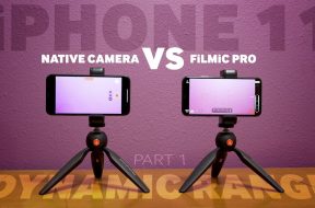 iPhone 11 Native Camera vs FiLMiC Pro Log | DYNAMIC RANGE