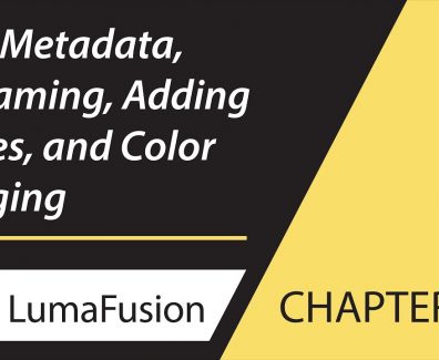 9-1 Info Panel: Clip Metadata, Renaming, Adding Notes and Color Tagging in LumaFusion