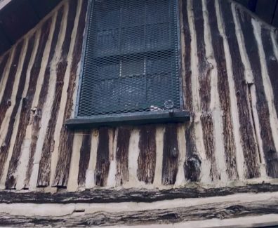 Rock Creek Park – Washington DC – Shot on iPhone 11 Pro Max – Anamorphic Lens – FILMiC Pro