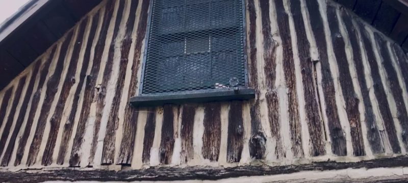 Rock Creek Park – Washington DC – Shot on iPhone 11 Pro Max – Anamorphic Lens – FILMiC Pro